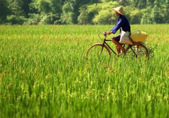 sejour-vietnam-Madame-F-BARRERA
