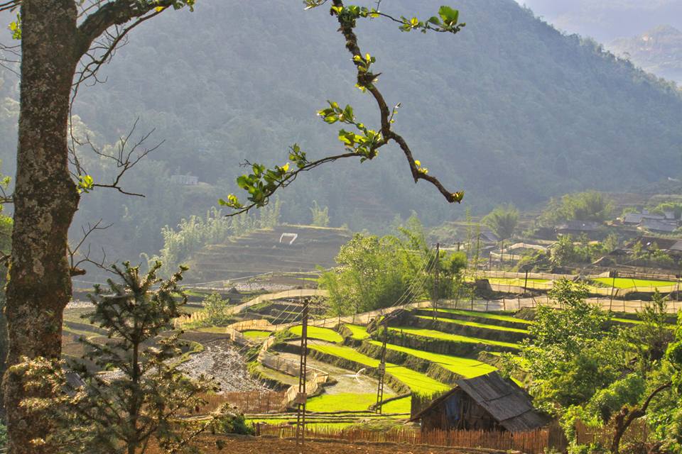 belle-riziere-en-terrasse