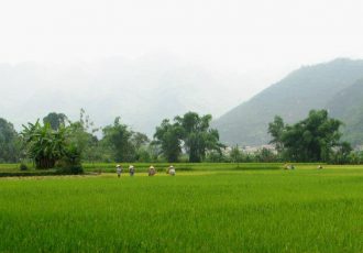 circuit-vietnam-mr-LE-GOURRIEREC