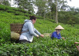madame-sylvie-POTTIER