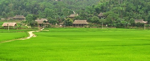 voyage-Vietnam-mr-hector-TANCON