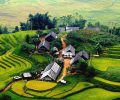 beax-paysages-a-sapa-vietnam