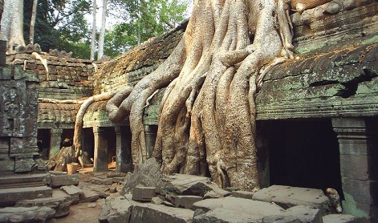 voyage-cambodge