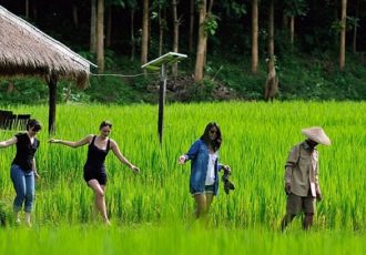 kamu lodge experience