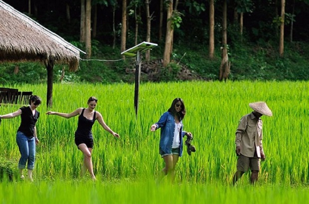 kamu lodge experience