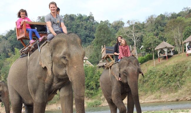 le-village-sanctuaire-des-elephants