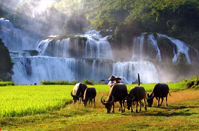 belle-photo-de-cascade-de-ban-gioc-vietnam