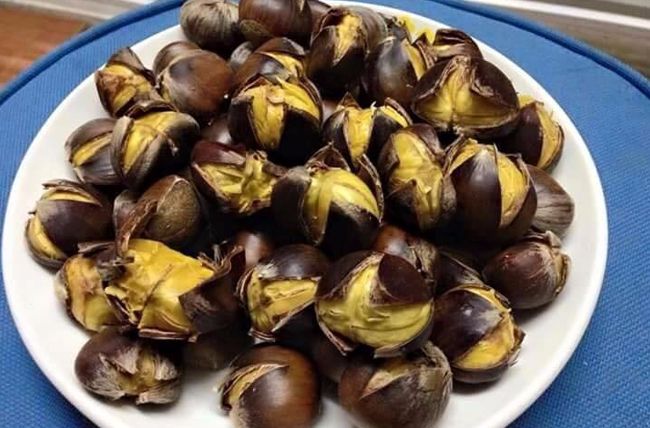 chataignes-de-cao-bang-vietnam