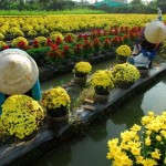 la-ville-de-sa-dec-vietnam