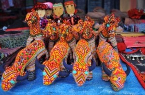 photos-bac-ha-vietnam-marches