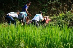 mobilette-nord-vietnam