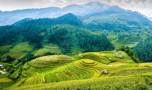 le-riziere-en-terrasse-de-mu-cang-chai