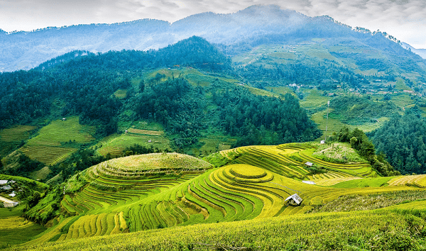 le-riziere-en-terrasse-de-mu-cang-chai