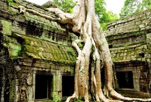 circuit vietnam cambodge en 3 semaines
