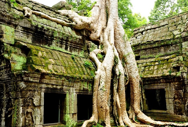 circuit vietnam cambodge en 3 semaines