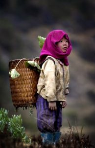 passion-du-vietnam