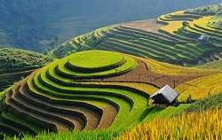 qu'est qu'un voyage sur mesure