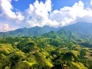 y linh ho sapa